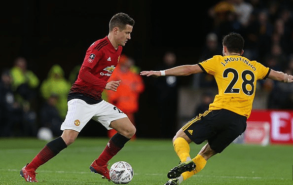 更多骄人的 更多骄人的